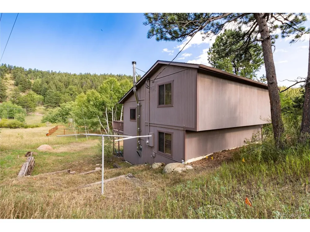 65 Silver Springs Road Bailey, CO 80421
