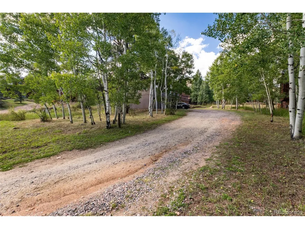 65 Silver Springs Road Bailey, CO 80421