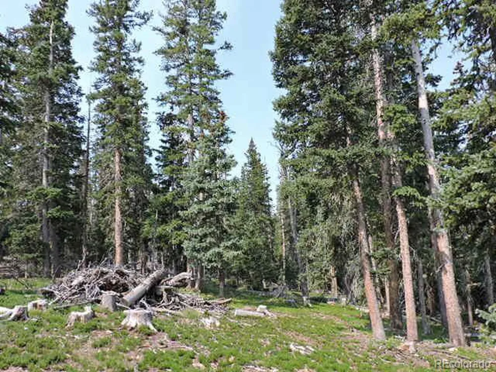 6548 Giesse Road San Luis, CO 81152