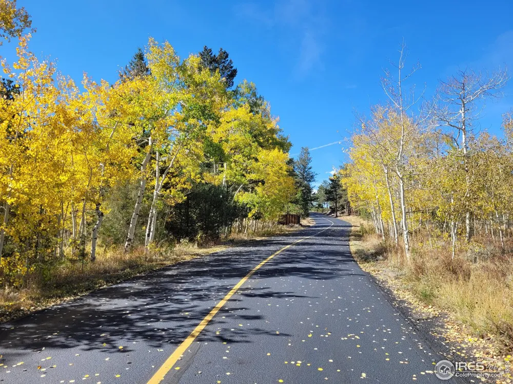 530 Fox Acres Drive W Red Feather Lakes, CO 80545