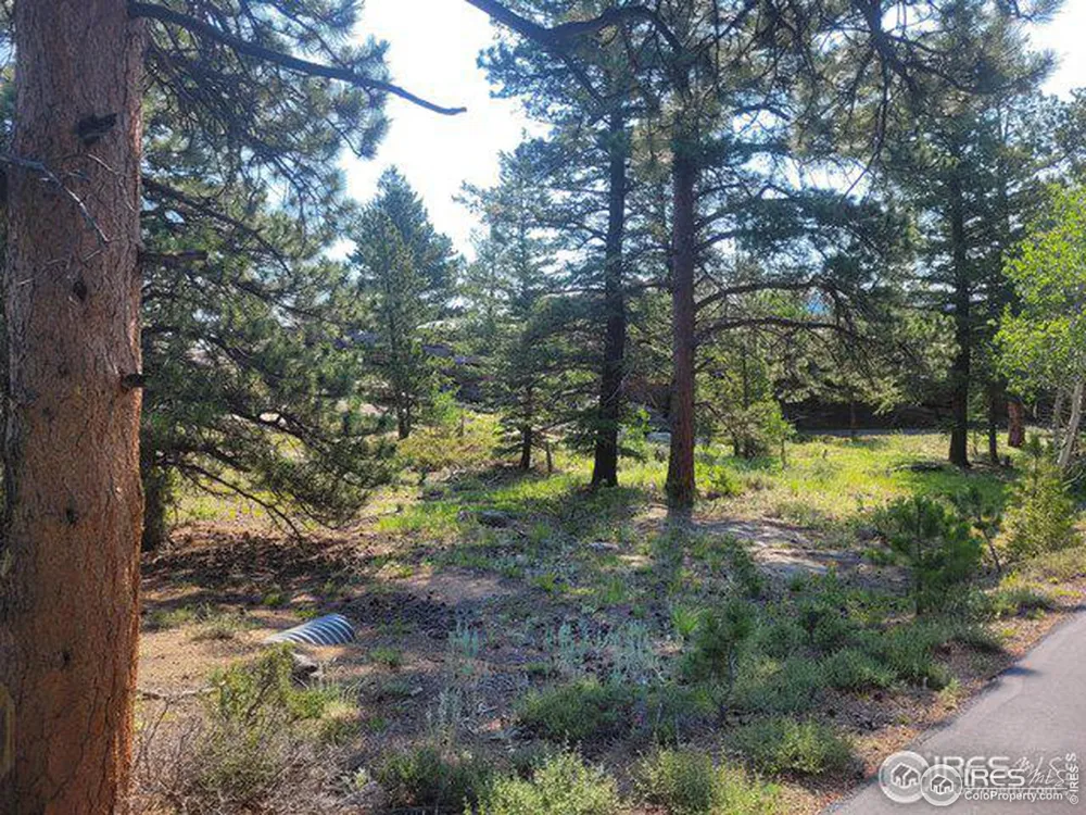 1 Fox Acres Drive W Red Feather Lakes, CO 80545