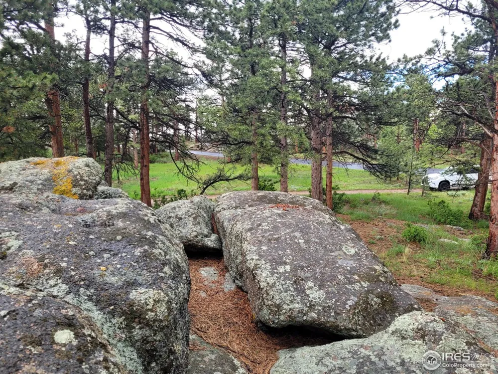 410 Fox Acres Drive W Red Feather Lakes, CO 80545