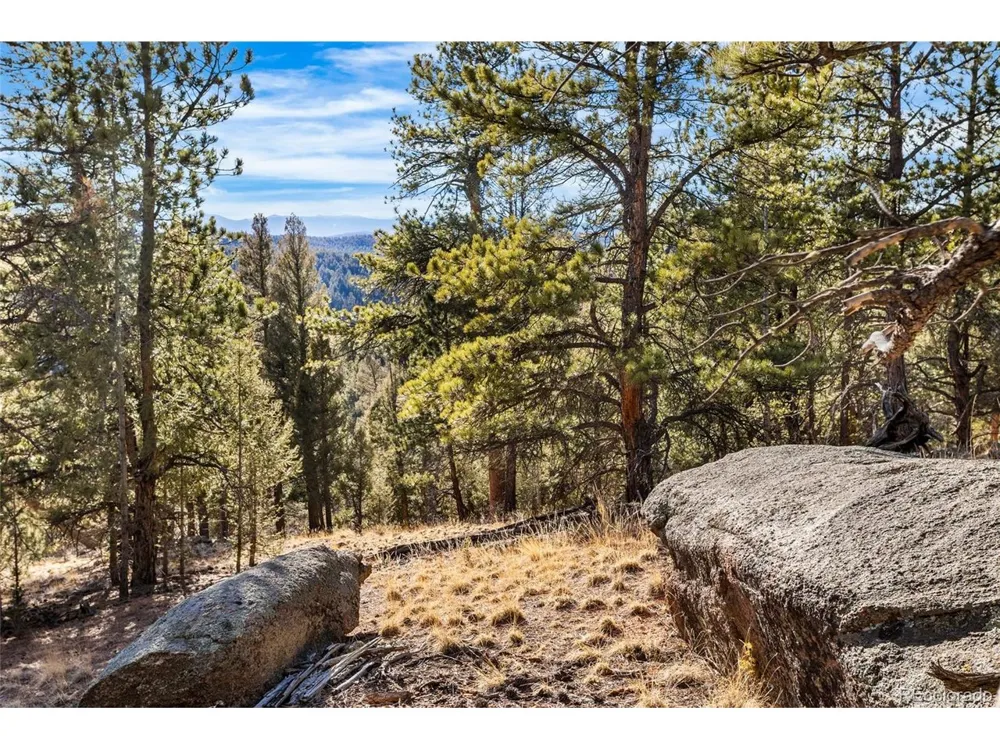 35441 Upper Aspen Lane Pine, CO 80470