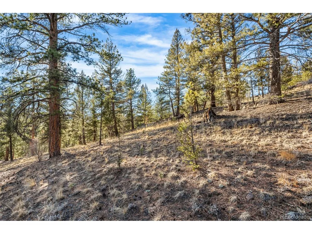 35441 Upper Aspen Lane Pine, CO 80470