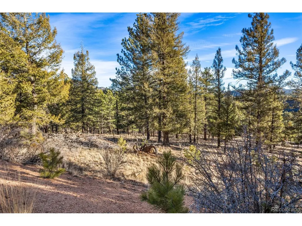 35441 Upper Aspen Lane Pine, CO 80470
