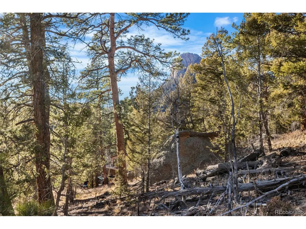 35441 Upper Aspen Lane Pine, CO 80470