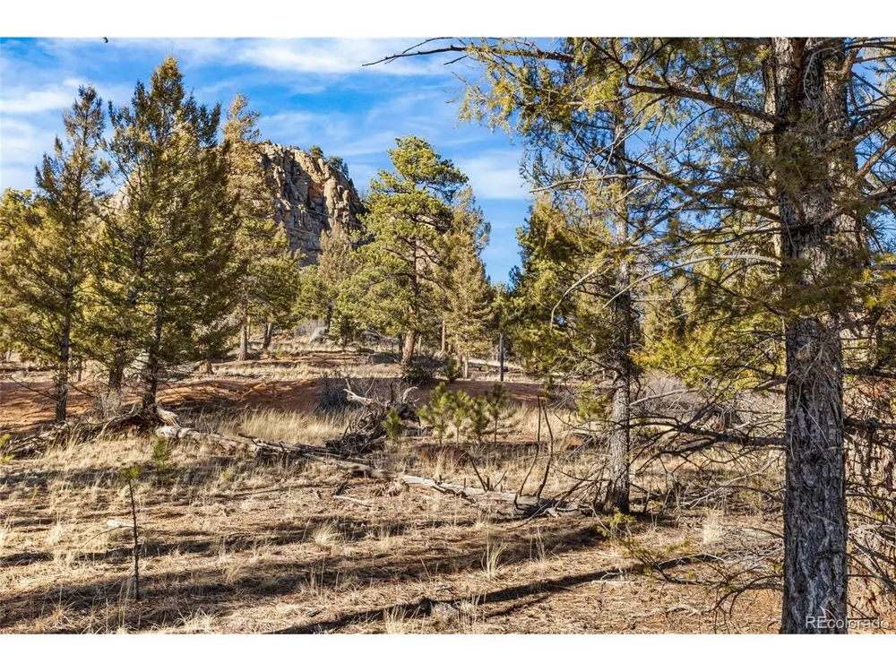 35441 Upper Aspen Lane Pine, CO 80470