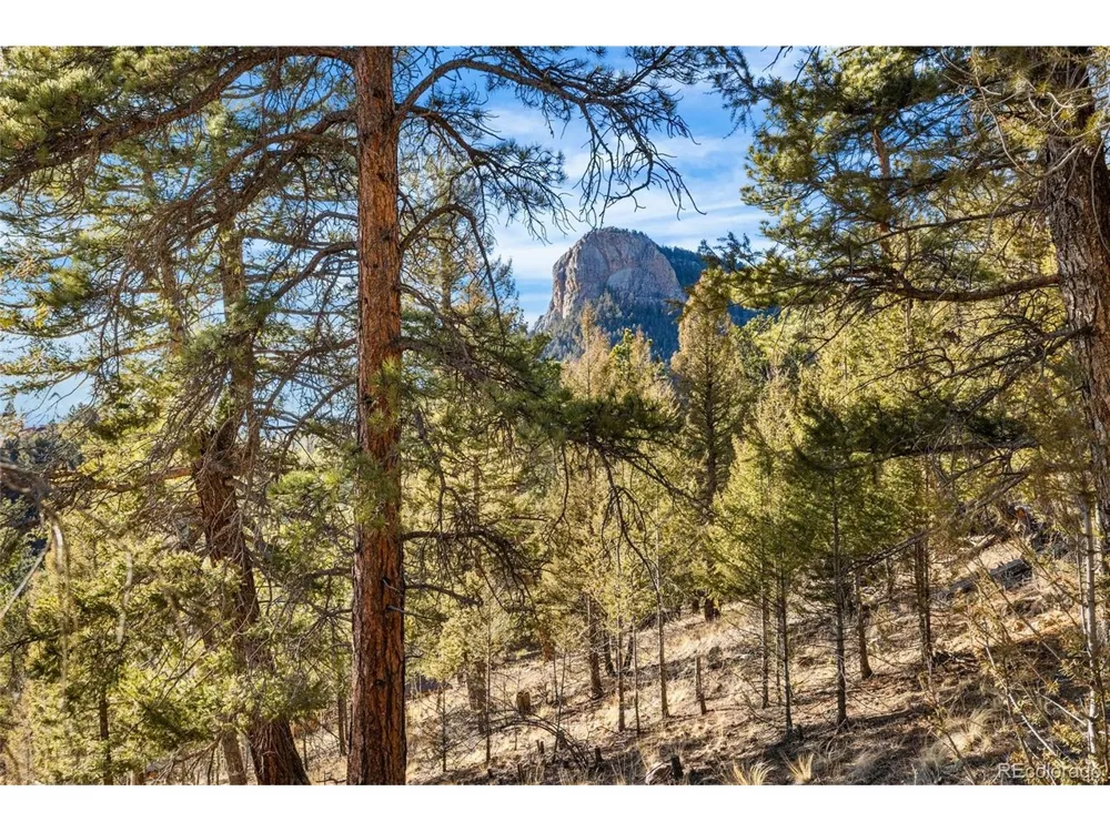 35441 Upper Aspen Lane Pine, CO 80470