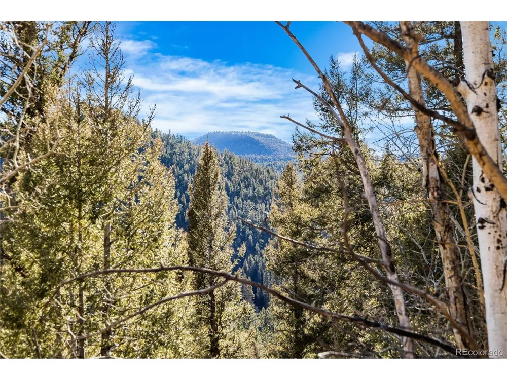 35441 Upper Aspen Lane Pine, CO 80470