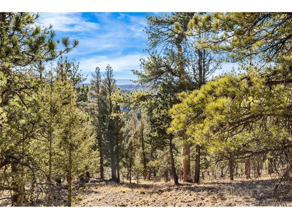 35441 Upper Aspen Lane Pine, CO 80470