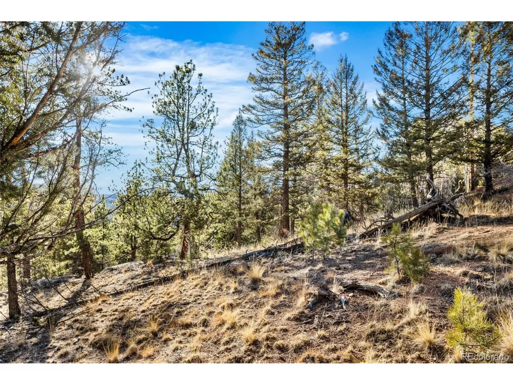 35441 Upper Aspen Lane Pine, CO 80470