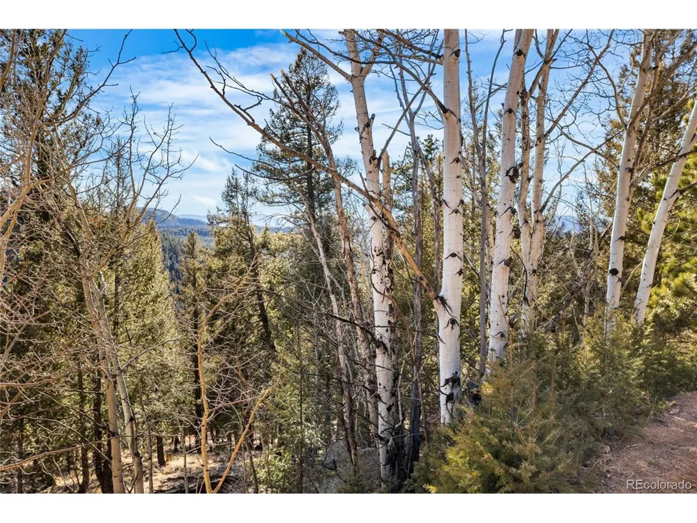 35441 Upper Aspen Lane Pine, CO 80470