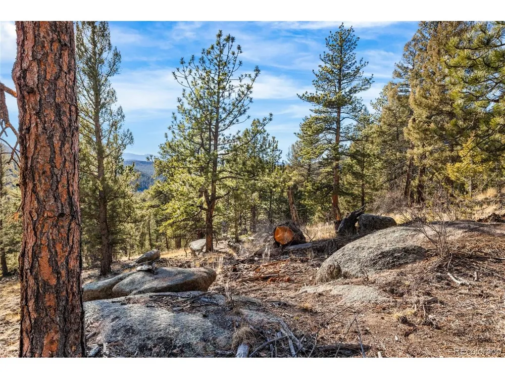 35441 Upper Aspen Lane Pine, CO 80470