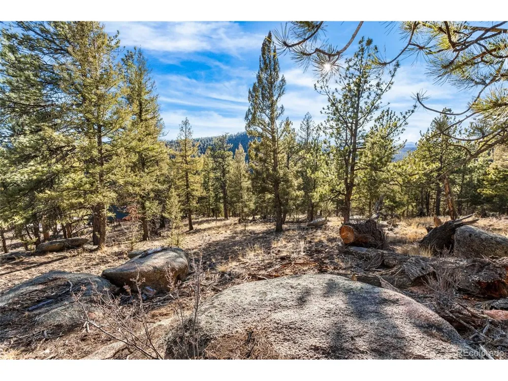 35441 Upper Aspen Lane Pine, CO 80470