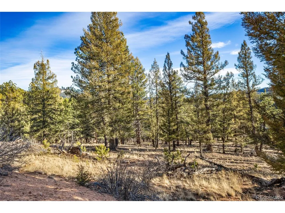 35441 Upper Aspen Lane Pine, CO 80470
