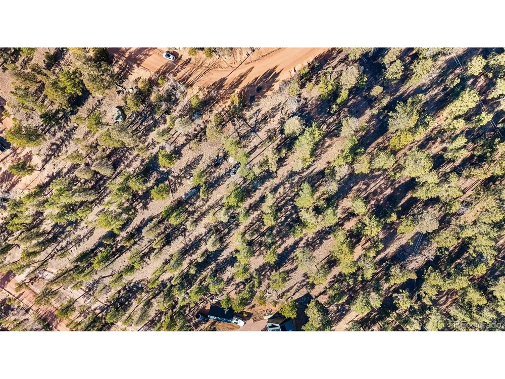 35441 Upper Aspen Lane Pine, CO 80470