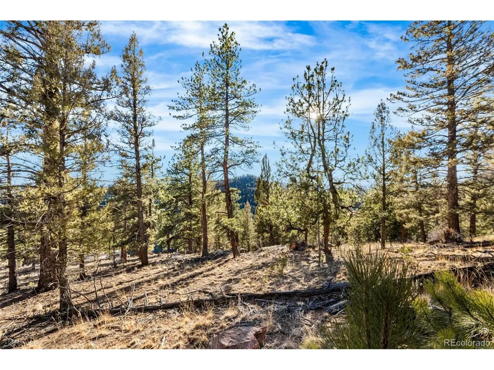35441 Upper Aspen Lane Pine, CO 80470