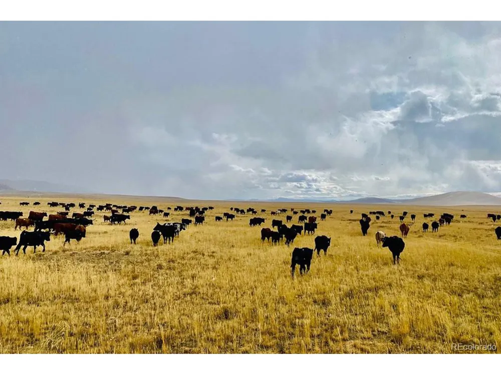 21103 Elkhorn Road Como, CO 80432