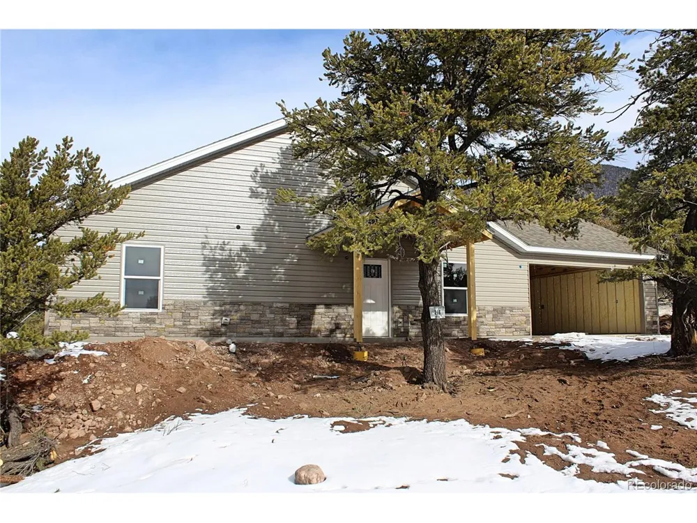 216 Baca Grant Way Crestone, CO 81131