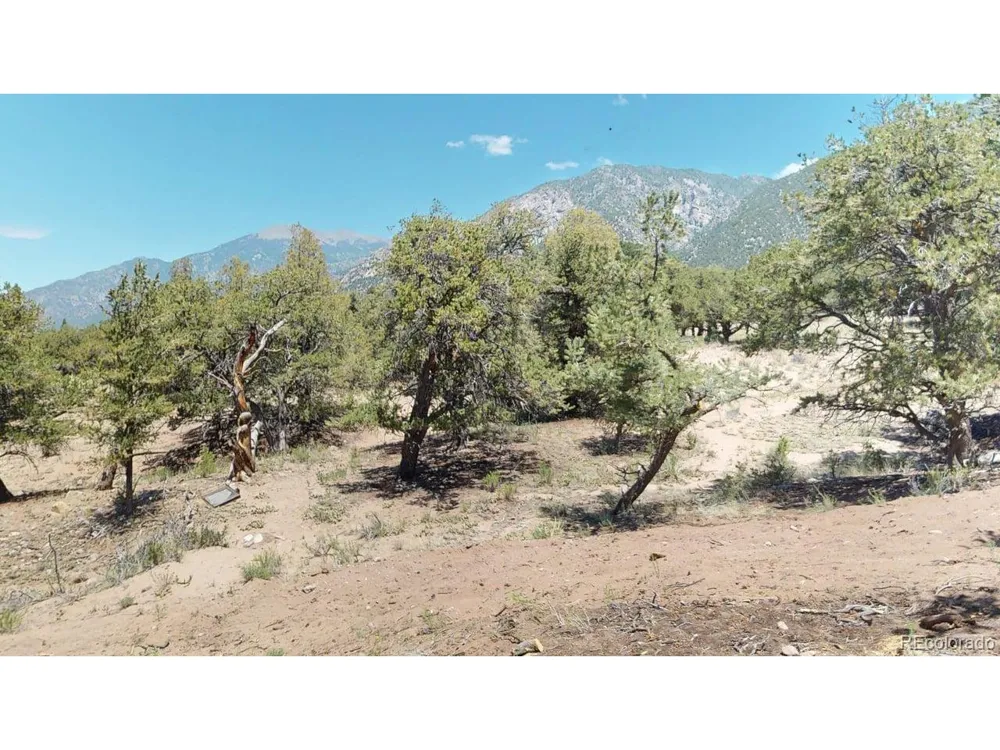 216 Baca Grant Way Crestone, CO 81131
