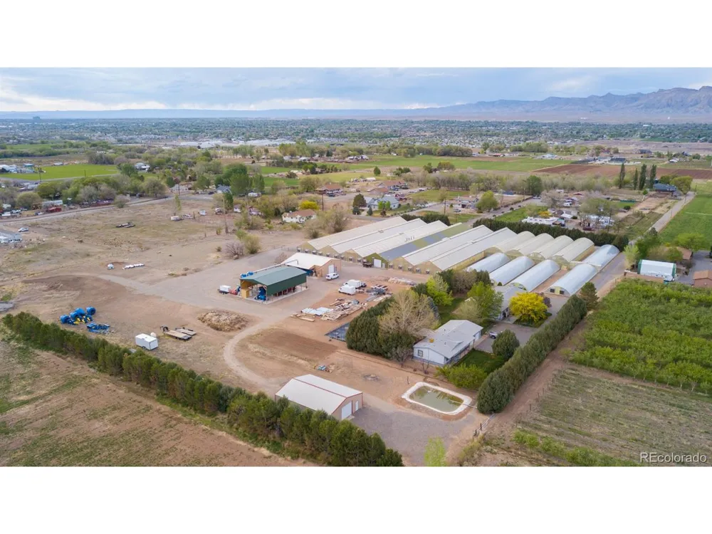 3281 C ROAD Palisade, CO 81526