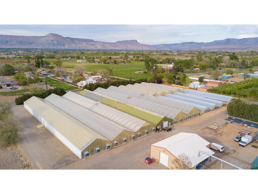 3281 C ROAD Palisade, CO 81526