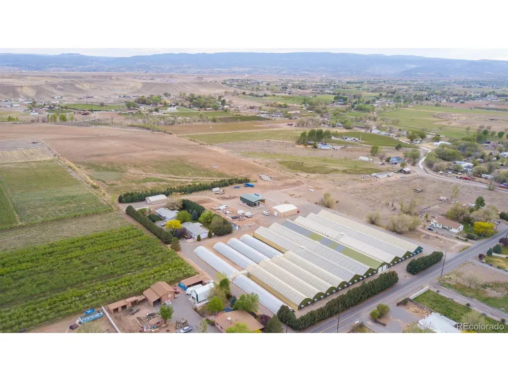 3281 C ROAD Palisade, CO 81526