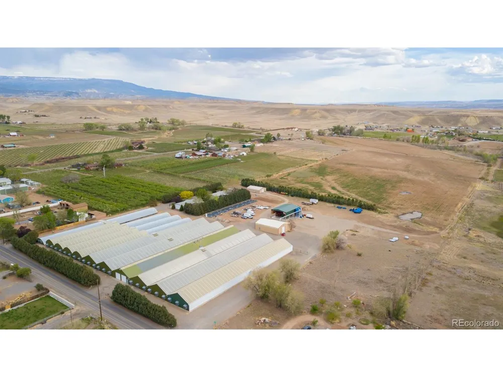 3281 C ROAD Palisade, CO 81526