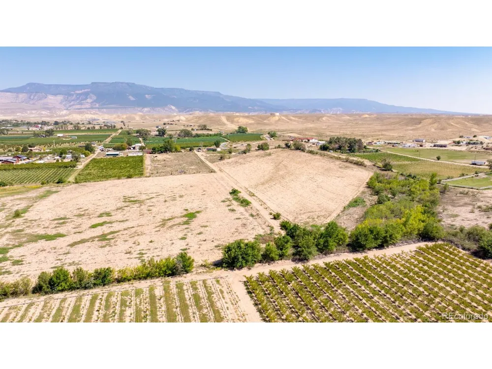 267 33 ROAD Palisade, CO 81526