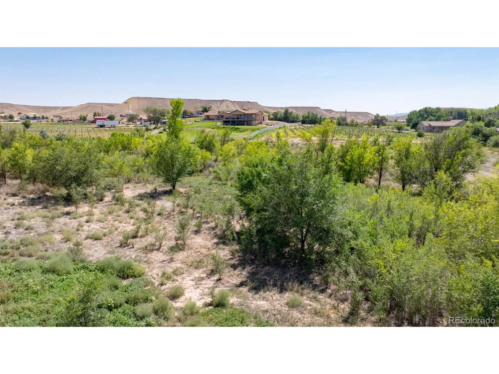 267 33 ROAD Palisade, CO 81526