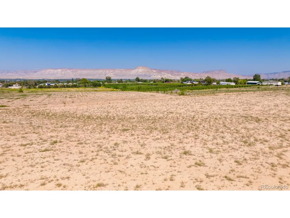 267 33 ROAD Palisade, CO 81526