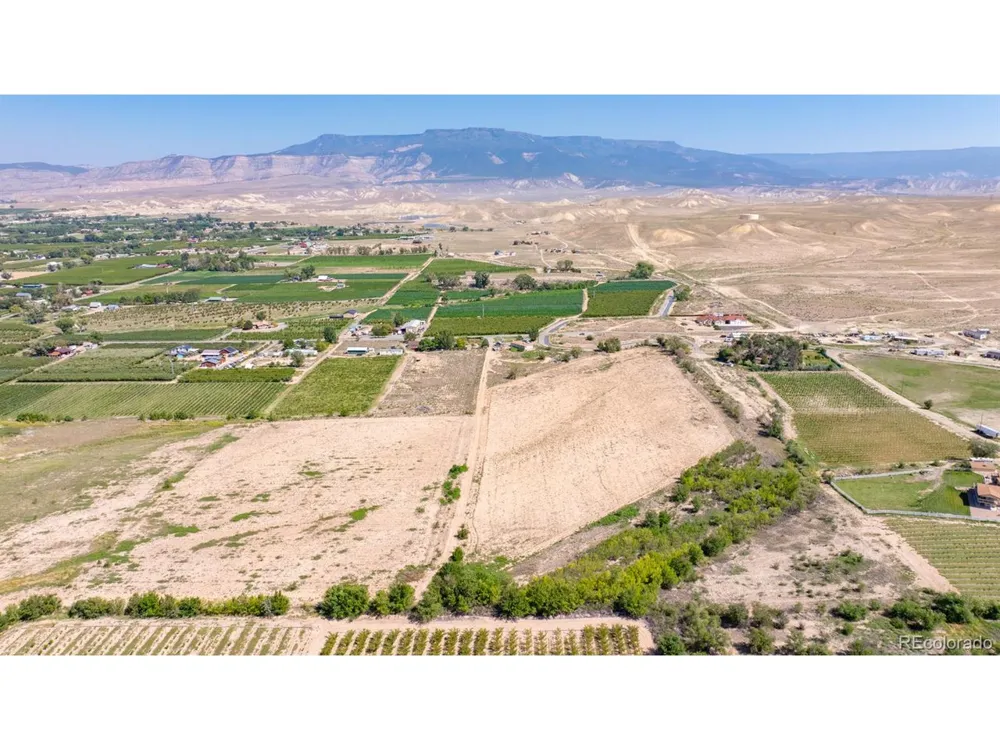 267 33 ROAD Palisade, CO 81526