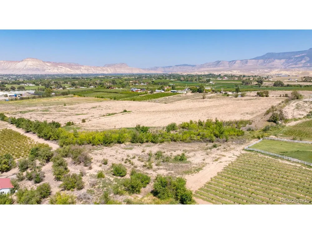 267 33 ROAD Palisade, CO 81526