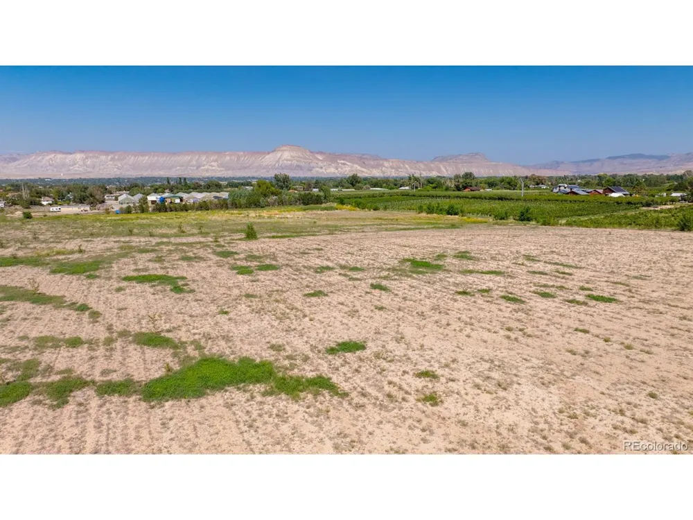 267 33 ROAD Palisade, CO 81526