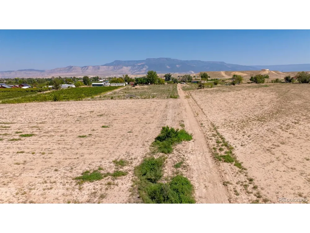 267 33 ROAD Palisade, CO 81526