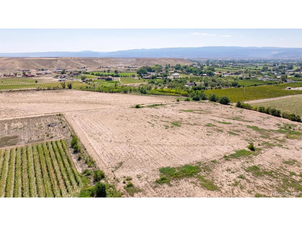 267 33 ROAD Palisade, CO 81526