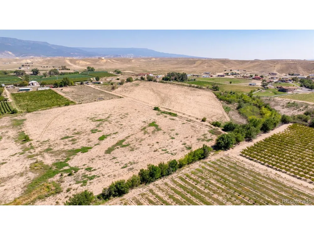 267 33 ROAD Palisade, CO 81526