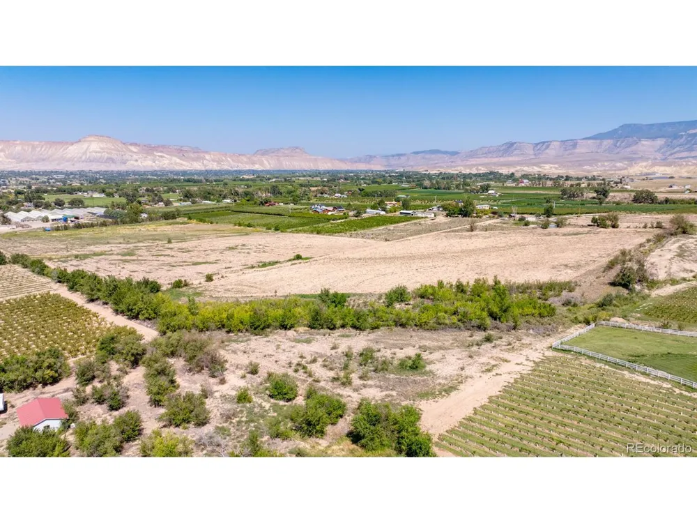 267 33 ROAD Palisade, CO 81526