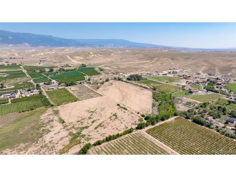 267 33 ROAD Palisade, CO 81526