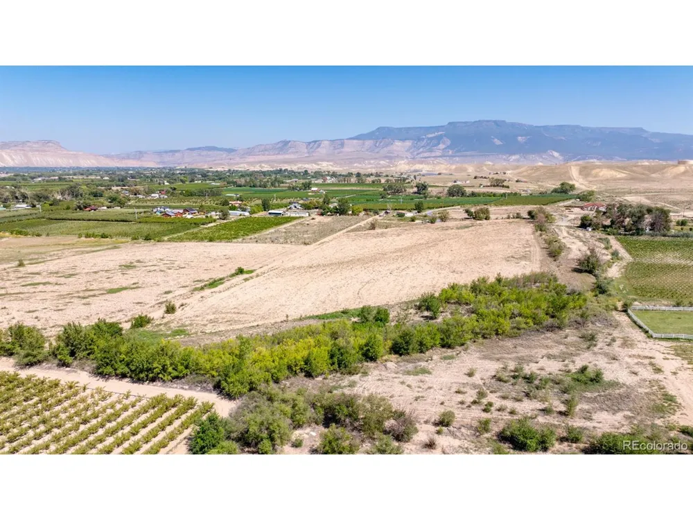 267 33 ROAD Palisade, CO 81526