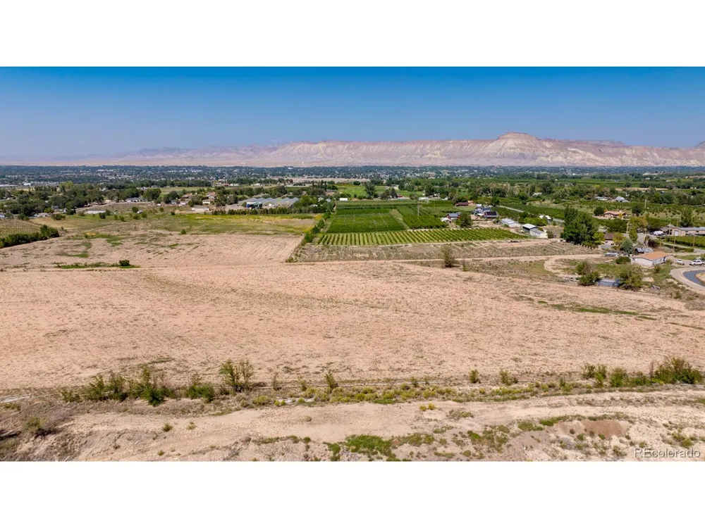 267 33 ROAD Palisade, CO 81526