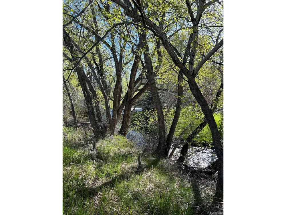 CR 361 Buena Vista, CO 81211