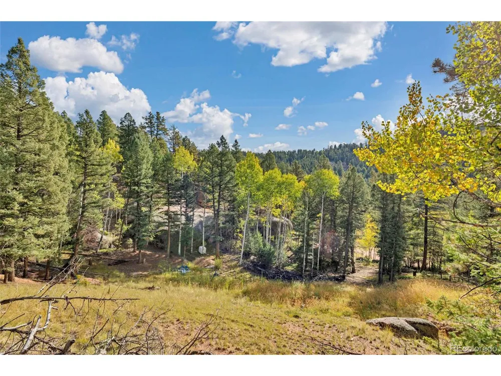 926 Pinon Lane Florissant, CO 80816