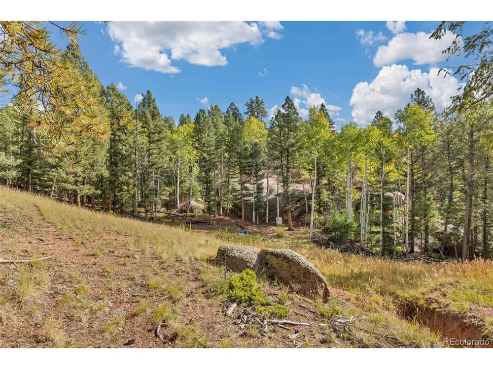 926 Pinon Lane Florissant, CO 80816