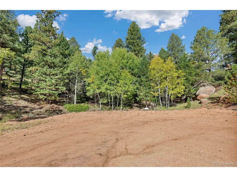 926 Pinon Lane Florissant, CO 80816