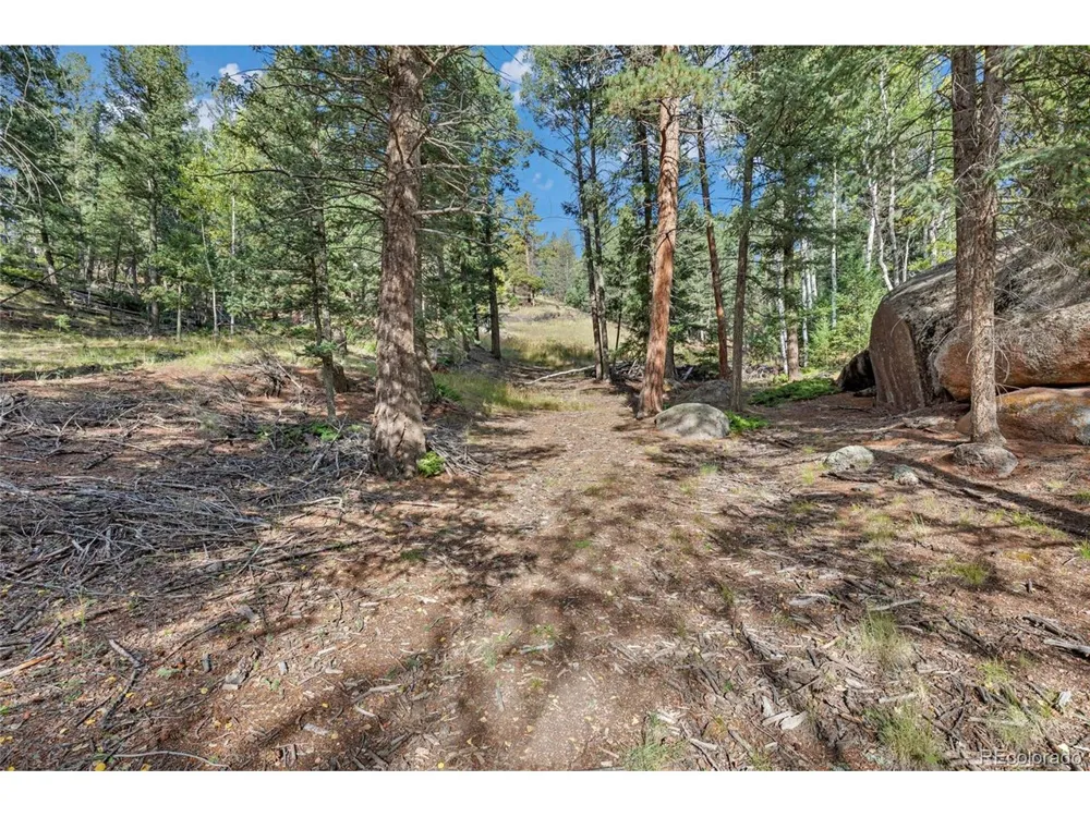 926 Pinon Lane Florissant, CO 80816