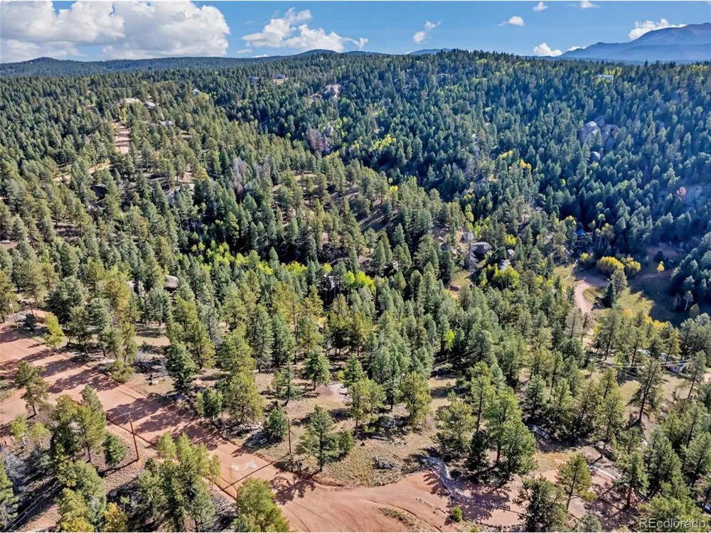 926 Pinon Lane Florissant, CO 80816