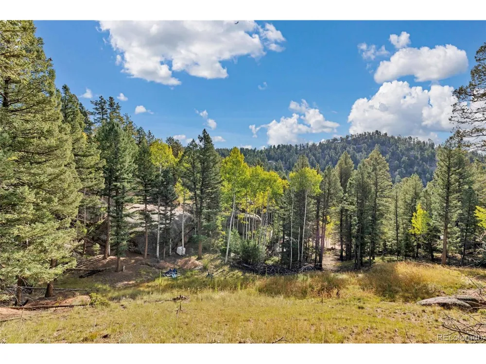 926 Pinon Lane Florissant, CO 80816