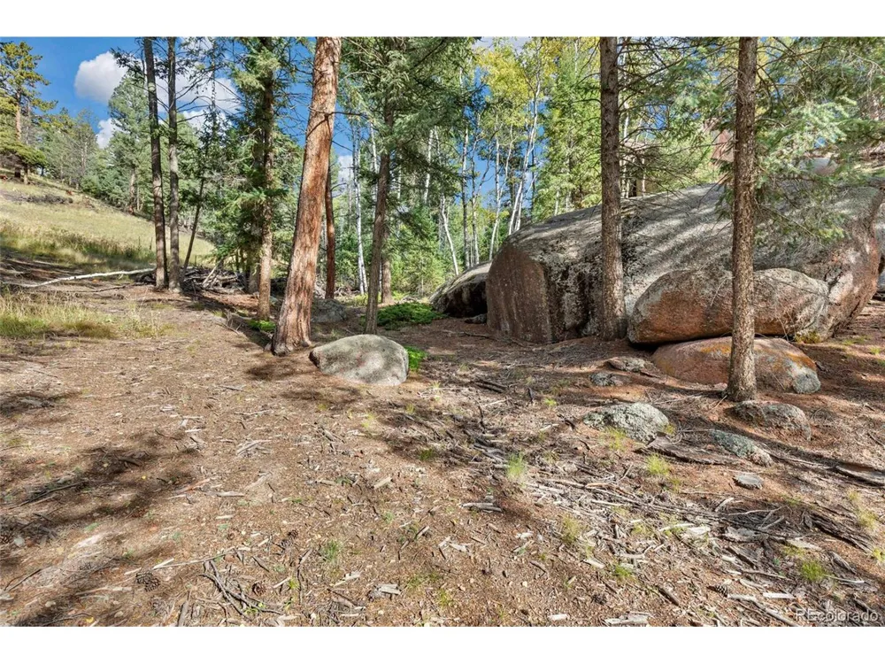 926 Pinon Lane Florissant, CO 80816