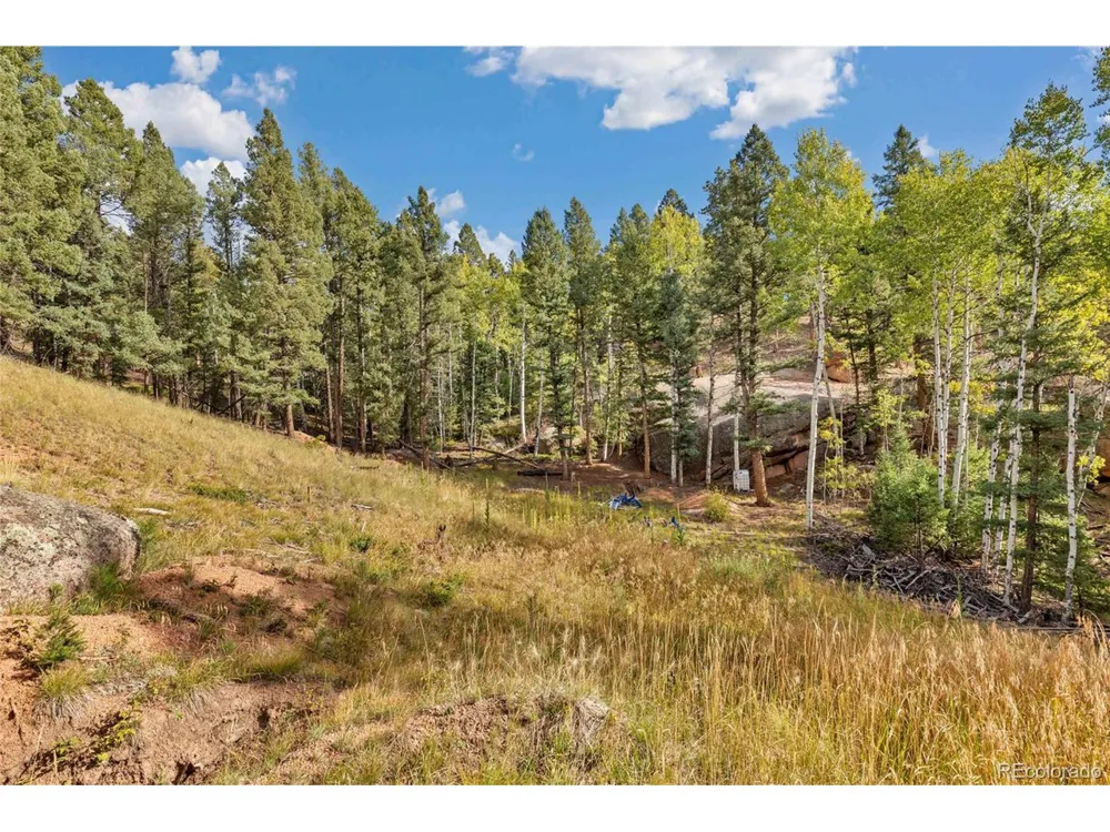 926 Pinon Lane Florissant, CO 80816